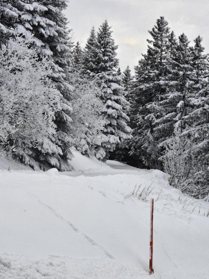 Chamrousse 1700 - Asters A03 Apartment Luaran gambar